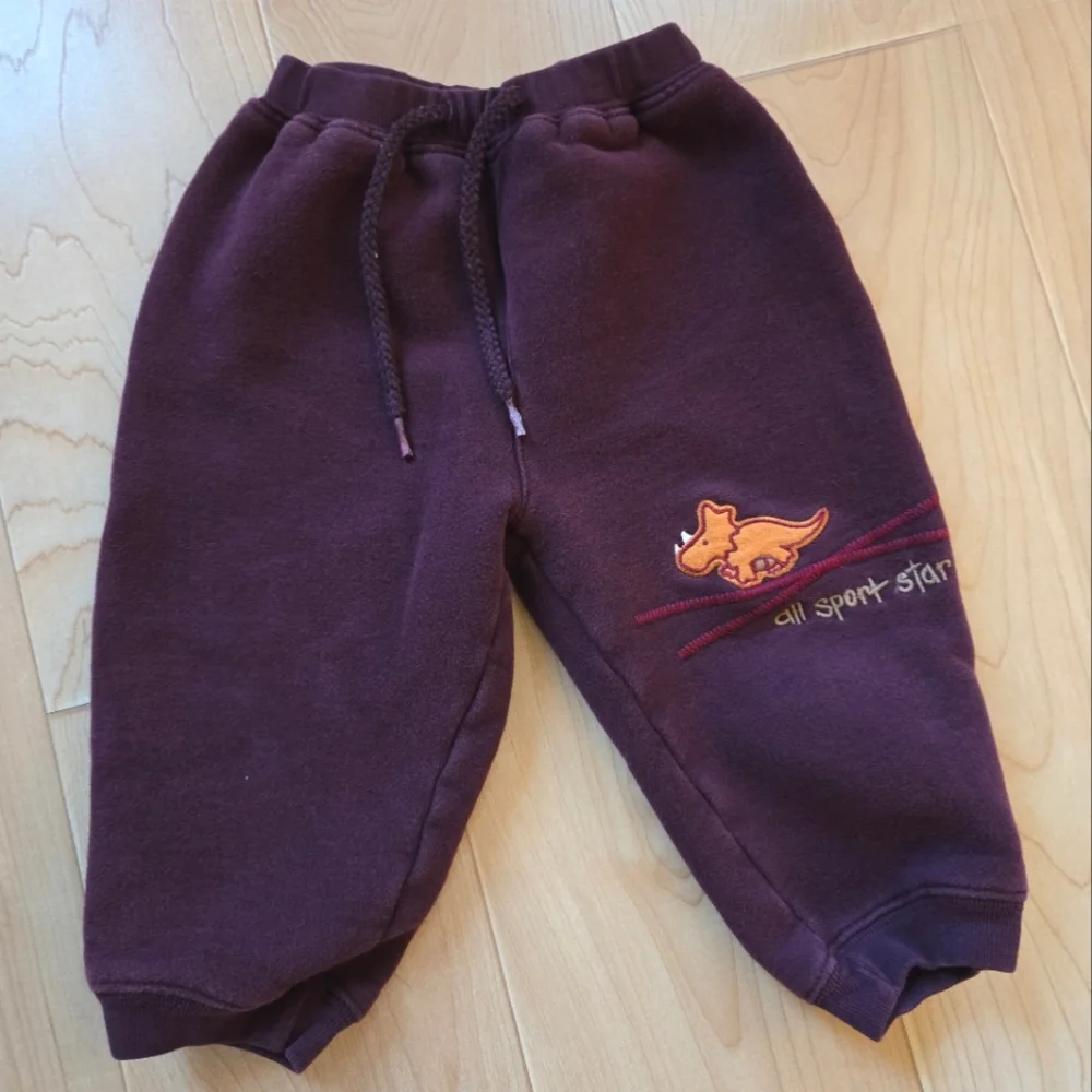 Vintage 1990s Y2K Carter's maroon and beige dinosaur sports sweatsuit set